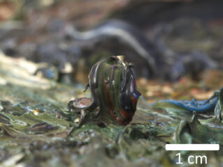 Nahaufnahme von dicker, strukturierter grüner und brauner Ölfarbe auf einer Leinwand, mit einem 1-cm-Maßstab als Größenreferenz.