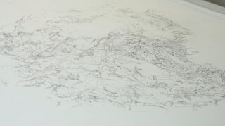 Eine Nahaufnahme einer detaillierten abstrakten Strichzeichnung auf einer weißen Oberfläche mit feinen, komplizierten Linien und organischen, fließenden Formen.