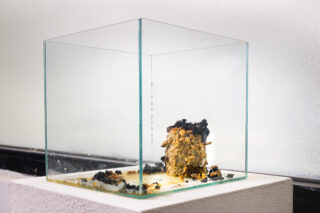 In einer Glasvitrine befindet sich ein teilweise verbranntes, unregelmäßig geformtes Objekt mit geschwärzten und gelben Bereichen, das auf einem weißen Sockel ruht.