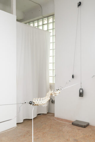 In einem minimalistischen Industrieraum mit weißen Wänden und einem großen Fenster ist eine künstliche Wirbelsäule horizontal an Drähten aufgehängt.