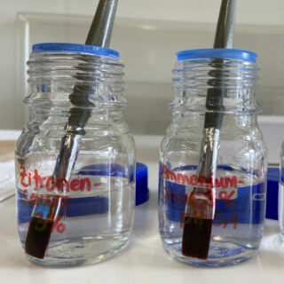 Zwei Glasgefäße mit blauem Deckel, die jeweils einen Pinsel in klarer Flüssigkeit enthalten. Das linke Gefäß trägt die Aufschrift „Zitronensäure 5%“, das rechte „Ammonium-Citrat 5% pH 8,4“.