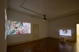 In einem Galerieraum mit Holzboden werden zwei projizierte Bilder angezeigt: eine Nahaufnahme von Blumentattoos an einer Wand und ein Totenkopftattoo an einer anderen Wand, beleuchtet von einem an der Decke montierten Projektor.