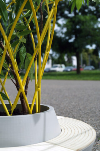 Nahaufnahme einer Topfpflanze, die von einer gelben Gitterstruktur getragen wird und auf einer runden weißen Bank steht, mit Bäumen und geparkten Autos im unscharfen Hintergrund.
