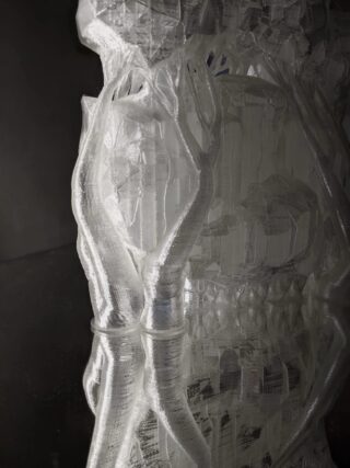 Eine Nahaufnahme einer transparenten, abstrakten 3D-gedruckten Skulptur mit organischen, gewundenen Formen und komplizierten geometrischen Details auf dunklem Hintergrund.
