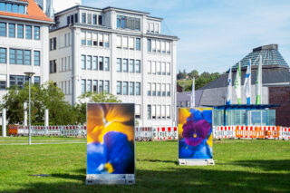 Auf einer Rasenfläche vor modernen Bürogebäuden und einer Bauabsperrung sind zwei große Tafeln mit Nahaufnahmen von Blumenmotiven aufgestellt.
