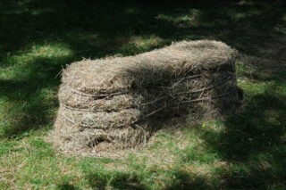 In einem schattigen Außenbereich steht eine Bank aus gebündeltem Heu im Gras.