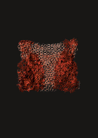 Eine quadratische Struktur aus miteinander verbundenen Metallringen, an denen unregelmäßige Knäuel aus rotem, organisch anmutendem Material befestigt sind, die auf einem soliden schwarzen Hintergrund dargestellt sind.