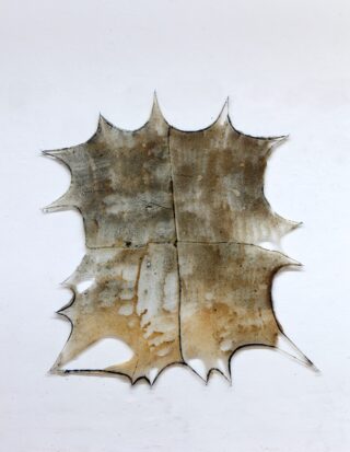 Ein gespanntes, unregelmäßig geformtes, durchscheinendes Material mit braunen Flecken ist an einer weißen Wand angebracht.