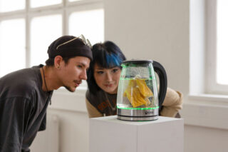 Zwei Personen beobachten aufmerksam einen gläsernen Wasserkocher mit kochendem Wasser und gelbem Stoff, der auf einem weißen Sockel in einem gut beleuchteten Raum steht.