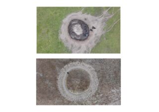 Luftaufnahmen von zwei kreisförmigen Bodenformationen: Der obere Teil zeigt einen dunklen Fleck mit verstreuten Trümmern, der untere einen helleren, saubereren Ring mit einem Tier in der Nähe.