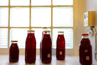Sechs mit roter Flüssigkeit gefüllte Glasflaschen sind auf einer weißen Fläche vor einem Milchglasfenster angeordnet. An der Wand rechts davon ist eine Steckdose zu sehen.
