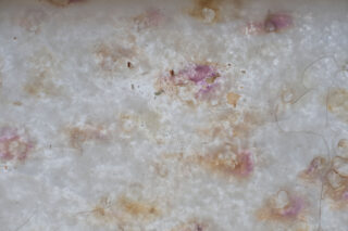 Nahaufnahme einer weißen Oberfläche mit verschiedenen braunen, gelben und violetten Flecken, kleinen Trümmern und ein paar sichtbaren Haarsträhnen.