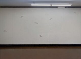 Eine schlichte weiße Wand mit kleinen möwenförmigen Umrissen, die unter zwei fluoreszierenden Deckenleuchten angeordnet sind.