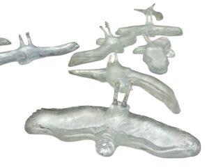 Klare Glasskulpturen in Form von Vögeln sind auf einem weißen Hintergrund ausgestellt.