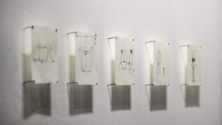 Fünf kleine Papierbögen mit einfachen, abstrakten Strichzeichnungen sind in einer Reihe an eine weiße Wand gepinnt.