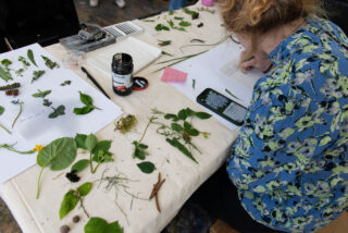 Eine Person sitzt an einem Tisch mit verschiedenen Pflanzenexemplaren, Papieren und einem Telefon, das ein Blumenbild anzeigt, und macht sich Notizen in einem Notizbuch.