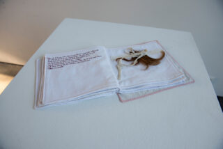 Ein Stoffbuch mit handgeschriebenem Text auf der linken Seite und einer mit Spitzenband gebundenen braunen Haarlocke auf der rechten Seite, ausgestellt auf einem weißen Sockel.