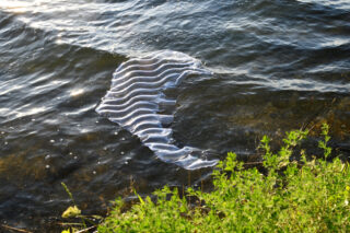 Eine durchsichtige, gerippte Plastikfolie, die teilweise im flachen Wasser in der Nähe eines grasbewachsenen Ufers untergetaucht ist.
