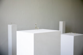 Eine kleine getrocknete Blume steht auf einem weißen Sockel in einem minimalistisch gestalteten Galerieraum, im Hintergrund sind zwei weitere ähnliche Sockel zu sehen.