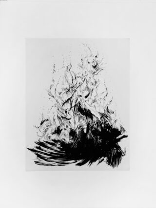 Schwarz-Weiß-Zeichnung mit abstrakten Flammen und Federn, die sich deutlich vom weißen Hintergrund abheben, mit dynamischen, wirbelnden Linien und dichten, dunklen Formen, die sich im unteren Bereich konzentrieren.