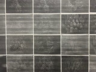 Ein Raster aus zwölf dunklen, quadratischen Kacheln, auf denen jeweils zarte, kreideartige Skizzen von Bäumen zu sehen sind, die in abwechslungsreichen Waldszenen angeordnet sind.