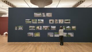 Eine Person steht vor einer großen, dunklen Wand, an der mehrere Landschaftsfotos ausgestellt sind, in einer modernen Galerie mit Holzboden.