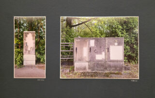 Zwei Fotos von Versorgungskästen im Außenbereich an einer dunklen Wand; das linke Bild zeigt einen hohen, schmalen Kasten, das rechte einen größeren, breiteren Kasten, beide umgeben von Grünpflanzen.