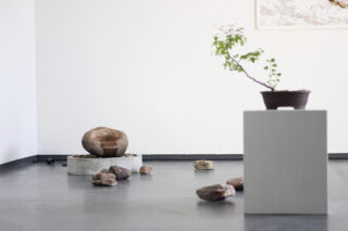 Ein minimalistisch gestalteter Raum mit vereinzelten Steinen, einem Steinbecken auf dem Boden und einem kleinen Bonsai-Baum im Topf auf einem weißen Sockel.
