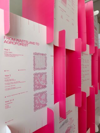 Auf vertikalen rosa-weißen Tafeln sind Informationen unter dem Titel „Vom Ödland zur Agroforstwirtschaft“ zu sehen, wobei illustrierte Diagramme und Texte die einzelnen Phasen und Maßnahmen über mehrere Jahre hinweg darstellen.